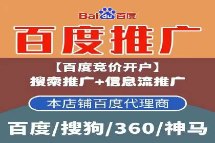 百度竞价SEM成功案例：揭秘广告投放秘诀